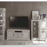 Витрина Florencia  REG2W2D1S персидский жемчуг BRW заказать по цене 46 902 руб. в Саратове